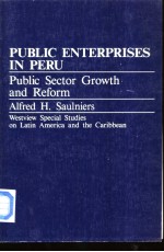 PUBLIC ENTERPRISES IN PERU