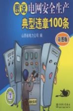 图说电网安全生产典型违章100条 彩图版