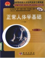 正常人体学基础 下