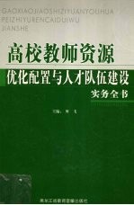 高校教师资源优化配置与人才队伍建设实务全书 第4卷