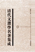 清代文选学名著集成 13