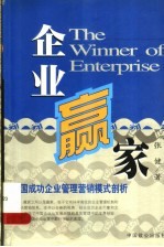 企业赢家 中国成功企业管理营销模式剖析