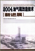 2004油气藏改造技术新进展