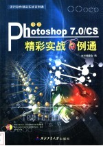 中文Photoshop 7.0/CS精彩实战百例通