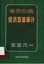 现代企业经济效益审计