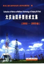 大庆油田井筒技术文集 2002-2003