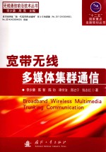 无线通信前沿技术丛书“十二五”国家重点出版规划丛书 宽带无线多媒体集群通信