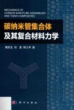 碳纳米管集合体及其复合材料力学