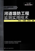 水利工程除险加固技术丛书 河道堤防工程监测实用技术