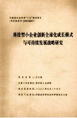 科技型小企业创新全球化成长模式与可持续发展战略研究