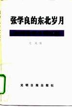 张学良的东北岁月 少帅传奇生涯纪实