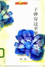 子弹穿过苹果