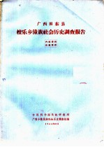 广西田东县檀乐乡壮族社会历史调查报告