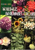 家庭园艺绿化妙技100招