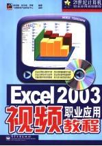 Excel2003职业应用视频教程