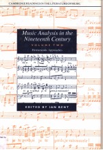 Music Analysis in the Nineteenth Century volume Ⅱ Hermeneutic Approaches