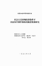 社会主义市场经济条件下河南及中国中部农村政治发展研究