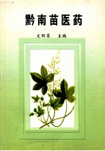 黔南苗医药