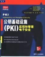 公钥基础设施 PKI 实现和管理电子安全