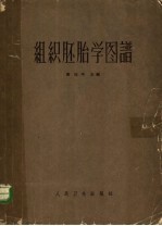 组织胚胎学图谱