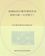 新课标初中数学课堂作业  七年级  下  北师大版