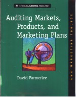 Auditing Markets Products and Marketing Plans