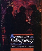 Aerican Delinquency