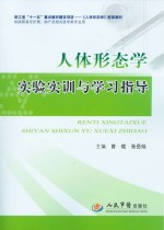 人体形态学实验实训与学习指导