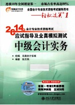 2014年会计专业技术资格考试 应试指导及全真模拟测试 中级会计实务