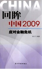 回眸中国 2009 应对金融危机