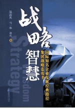 战略智慧  国际知名企业发展经典路径集团战略蓝皮书