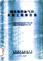 国外海洋油气田开发工程报告集  英国北海阿盖尔油田开发工程  英国北海莫林油田开发工程