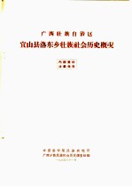 广西壮族自治区宜山县洛东乡壮族社会历史概况