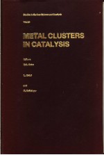 METAL CLUSTERS IN CATALYSIS