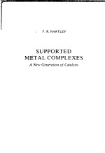 SUPPORTED METAL COMPLEXES