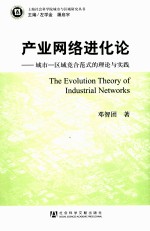 产业网络进化论 城市—区域竞合范式的理论与实践