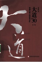 大道30  深南大道上的国家记忆  下