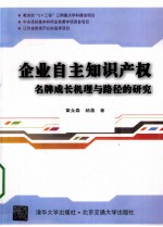 企业自主知识产权名牌成长机理与路径的研究