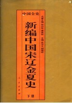 百卷本中国全史 新编中国宋辽金夏史 下