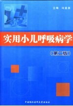 实用小儿呼吸病学  第2版