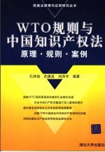 WTO规则与中国知识产权法 原理·规则·案例