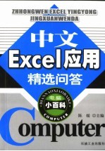 中文Excel应用精选问答