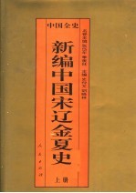 百卷本中国全史 新编中国宋辽金夏史 上