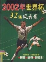 2002年世界杯 32强风云录