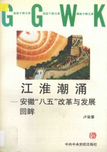 江淮潮涌 安徽“八五”改革与发展回眸