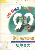 99道难题 初中语文