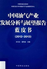 中国油气产业发展分析与展望报告蓝皮书 2012-2013