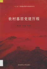 农村基层党建历程