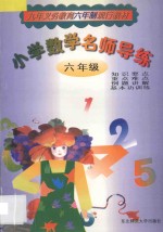 小学数学名师导练 六年级