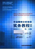 中法精神分析培训实务教程  2  性·分裂